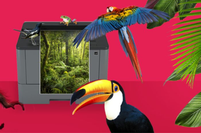 Brother w swojej strategii stawia na środowisko. Dlatego aktywnie prowadzi działania w ramach programu Brother Earth, który pomaga rozwiązywać problemy środowiska zarówno globalnie jak i lokalnie.