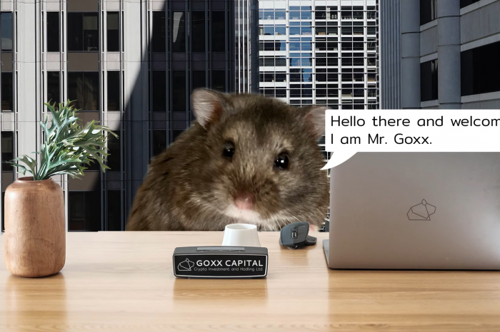 Chomik okazał się lepszym inwestorem kryptowalutowym niż większość ludzi. I nie, to nie jest żart.